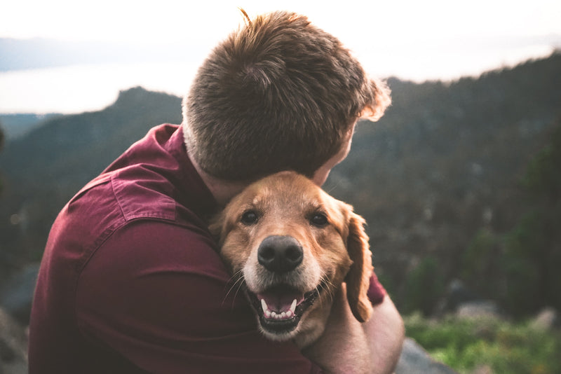 Could Having A Pet Improve Your Anxiety?